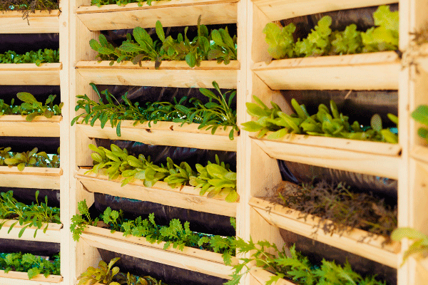 agricultura-vertical