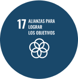 alianzas para lograr los objetivos