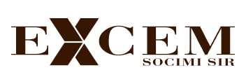 logo excem